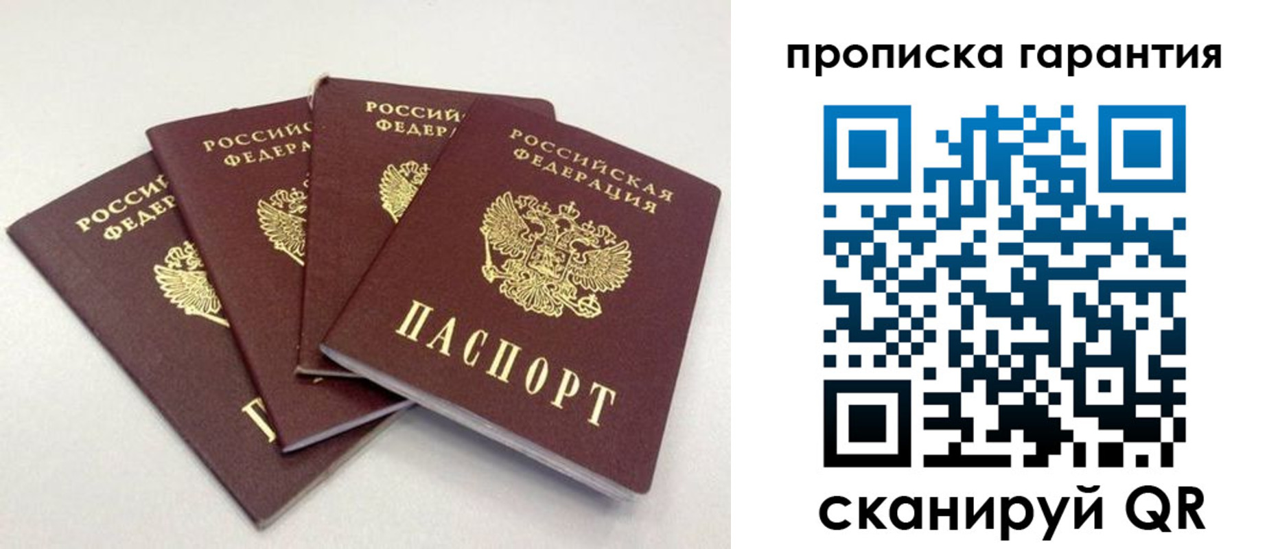 прописка в Павлово